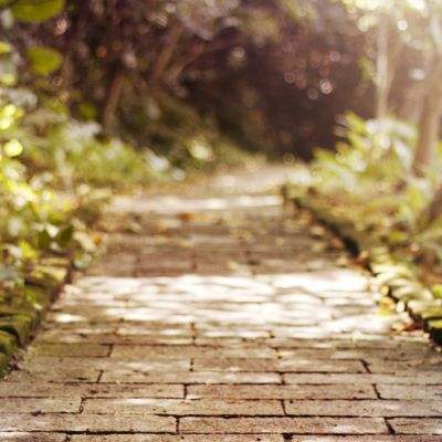 万博·体育手机app下载截图